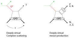 Deeply virtual Compton scattering/Deeply 
	   virtual meson production