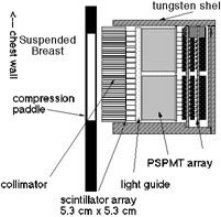 Detector Schematic