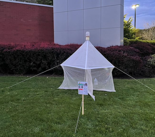 A malaise trap used to perform research for Ramey's project