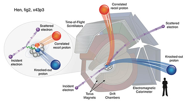 Illustration of Jefferson Lab's CEBAF Large Acceptance Spectrometer