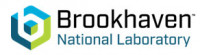 Brookhaven logo