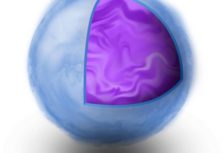 As nuclei get heavier, they have more neutrons than protons. A measurement of the lead nucleus confirmed that extra neutrons in heavy nuclei form a kind of neutron-rich “skin” (blue) around a more evenly distributed core (purple) of protons and neutrons.