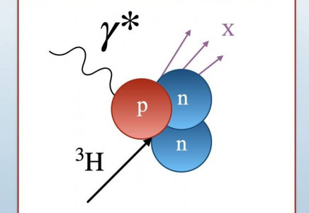 Electrons probe the structure of a proton or neutron by way of a virtual photon. This image shows a virtual photon (γ*) interacting with a proton or neutron inside a tritium nucleus, which contains one proton and two neutrons. 