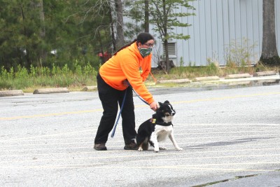 A handler prepares to release a goosedog for duty
